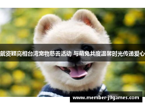 戴资颖亮相台湾宠物慈善活动 与萌兔共度温馨时光传递爱心