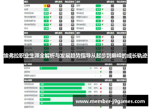 埃弗拉职业生涯全解析与发展趋势指导从起步到巅峰的成长轨迹